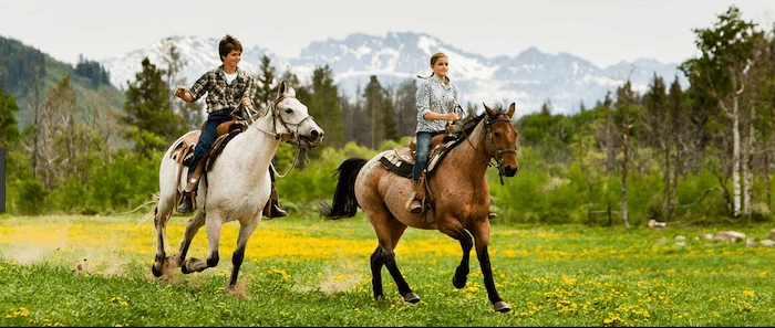 Confident plus-size woman riding Leicestershire a horse through a field with a smile on her face.